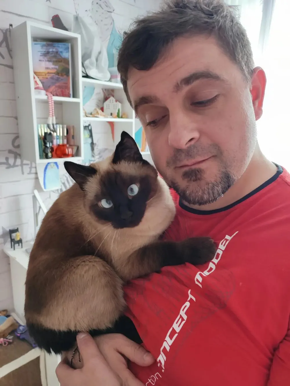 Селфи крупным планом с сиамским котом